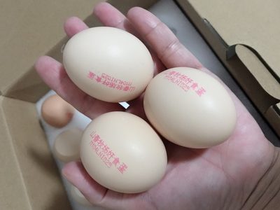 瀏覽全球網(wǎng)絡(luò)，您還能找到比這個(gè)更全面的雞蛋噴碼機(jī)解決方案嗎？
