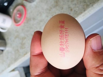 瀏覽全球網(wǎng)絡(luò)，您還能找到比這個(gè)更全面的雞蛋噴碼機(jī)解決方案嗎？