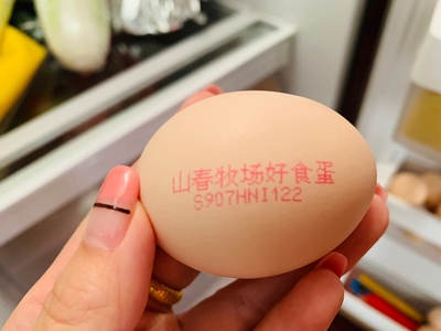 瀏覽全球網(wǎng)絡(luò)，您還能找到比這個(gè)更全面的雞蛋噴碼機(jī)解決方案嗎？