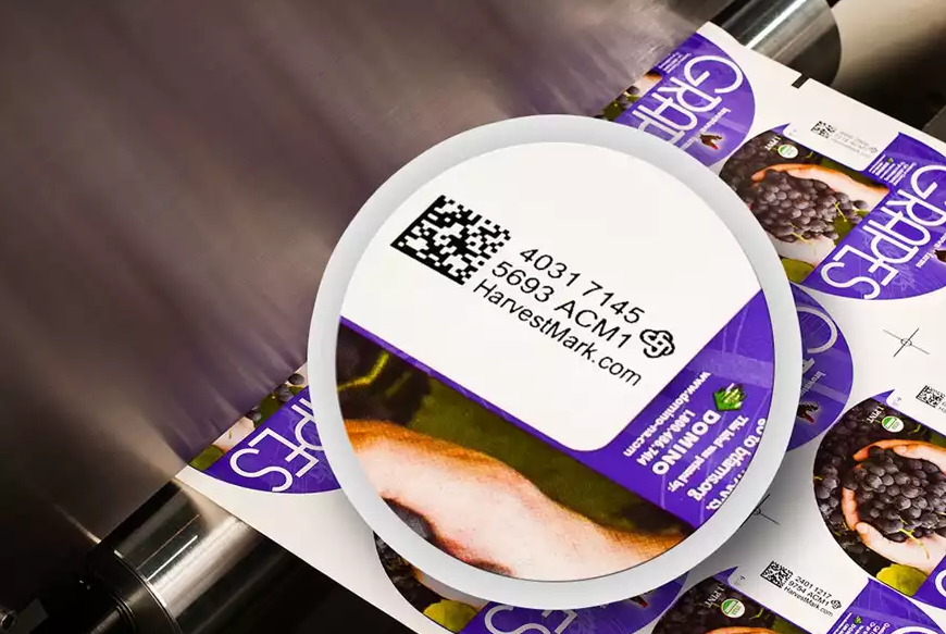 開啟供應鏈數字化之旅 ，感受全新的生產模式！