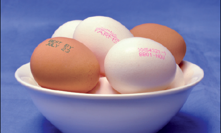 Happy Easter!依瑪的復活節“彩蛋”